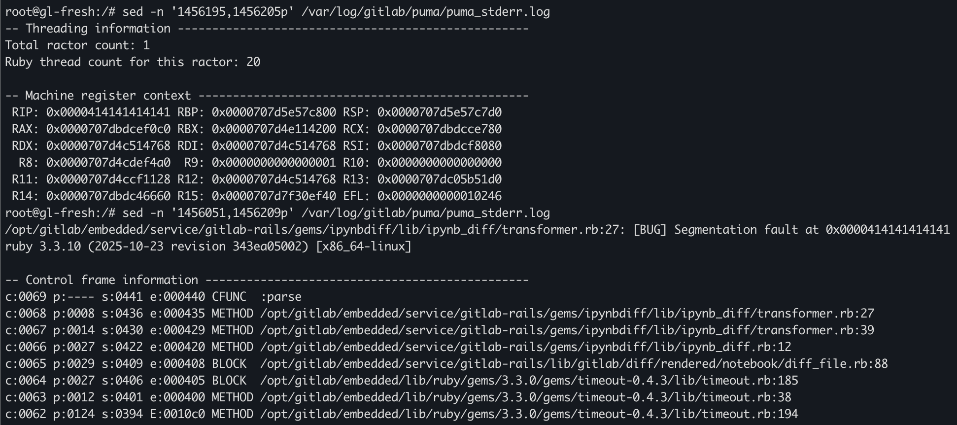 Puma crash log showing controlled RIP at 0x0000414141414141.
